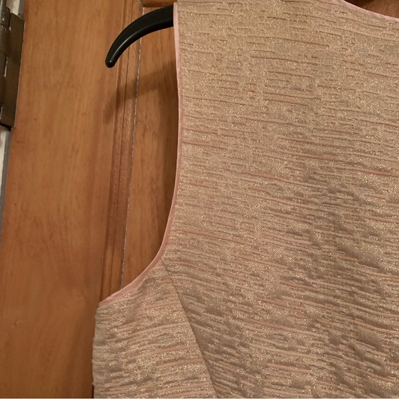 Kate Spade Della Dress Size 8 -All that glitters back zip sleeveless in Blush - Picture 6 of 16